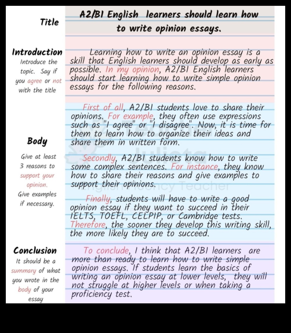 How to Write an Opinion Piece for Students 1